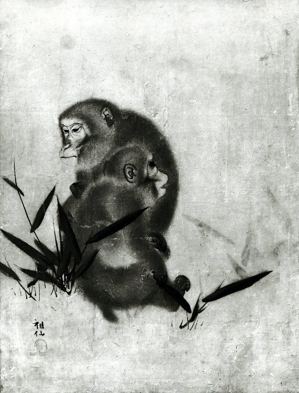 Macacos de Mori Sosen