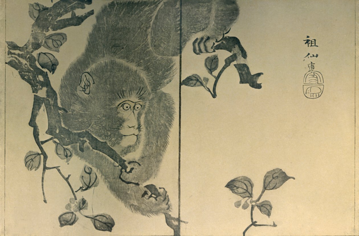 Macaco, 1815, 1924. de Mori Sosen
