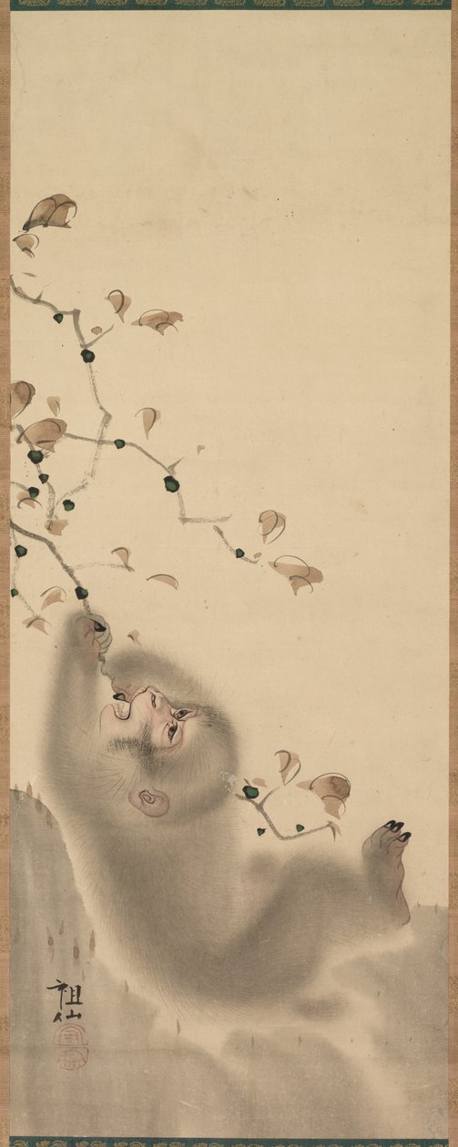 Macaco pendurado em um galho, 1780. de Mori Sosen