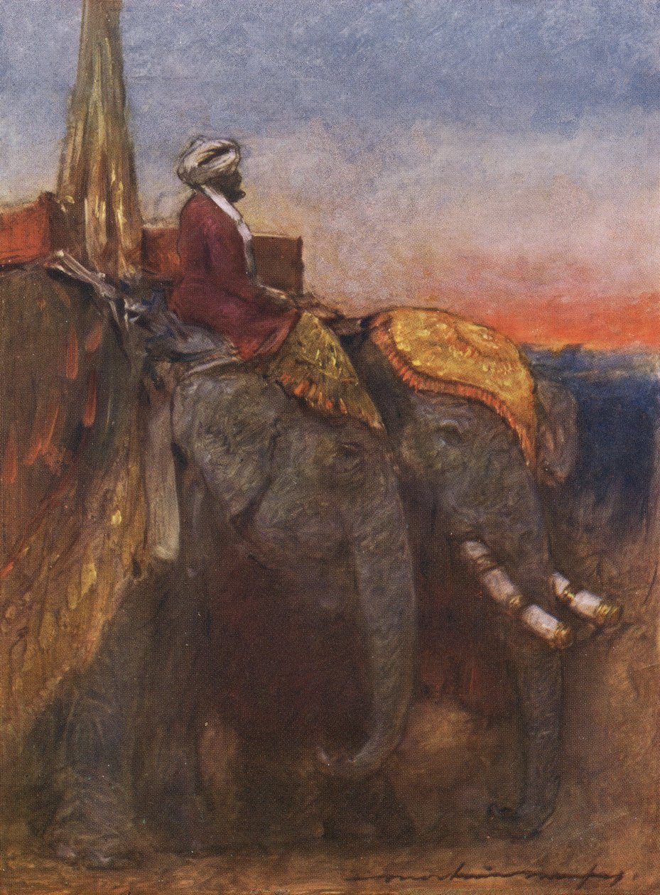 Elefantes de Jaipur de Mortimer Ludington Menpes