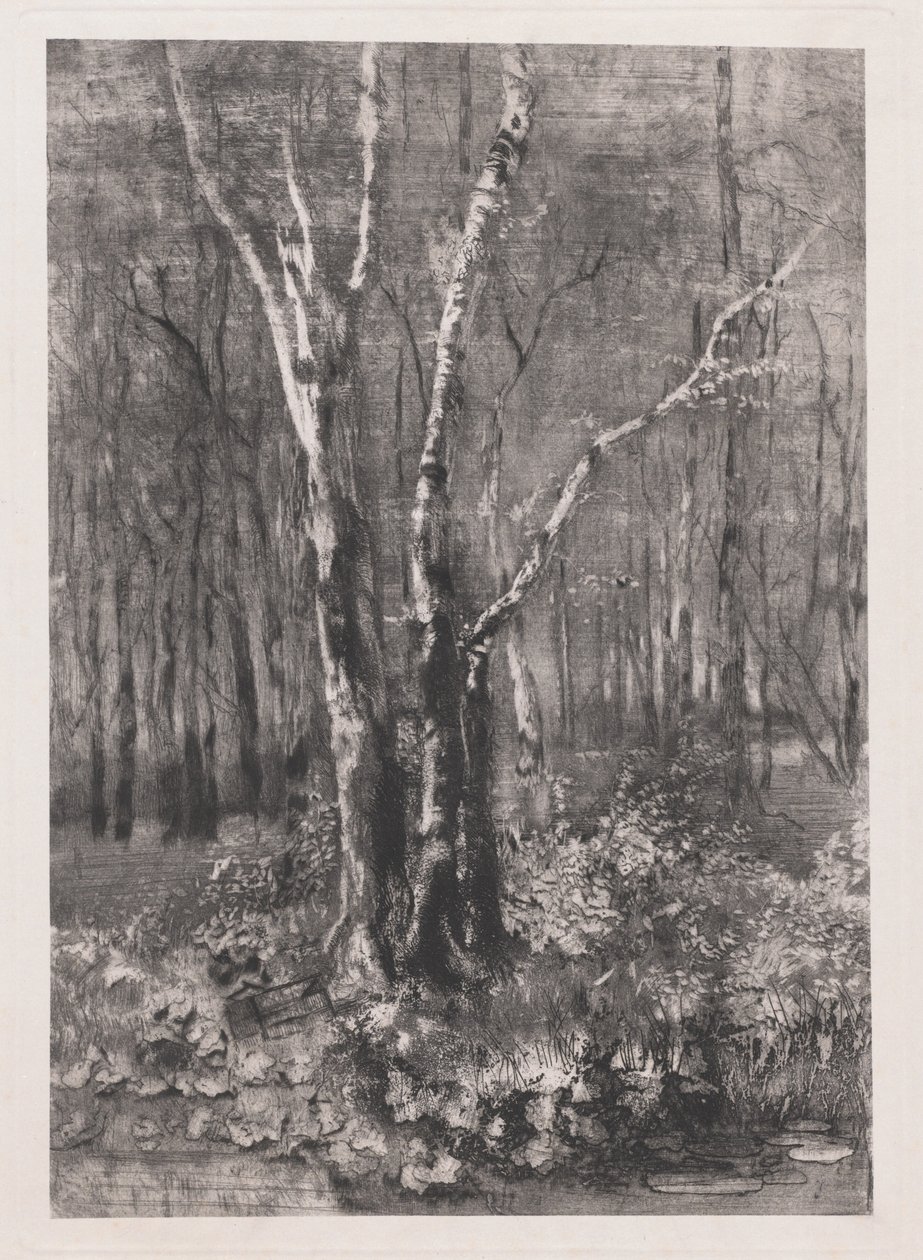 Bosques no parque perto de Monza de Mose Bianchi