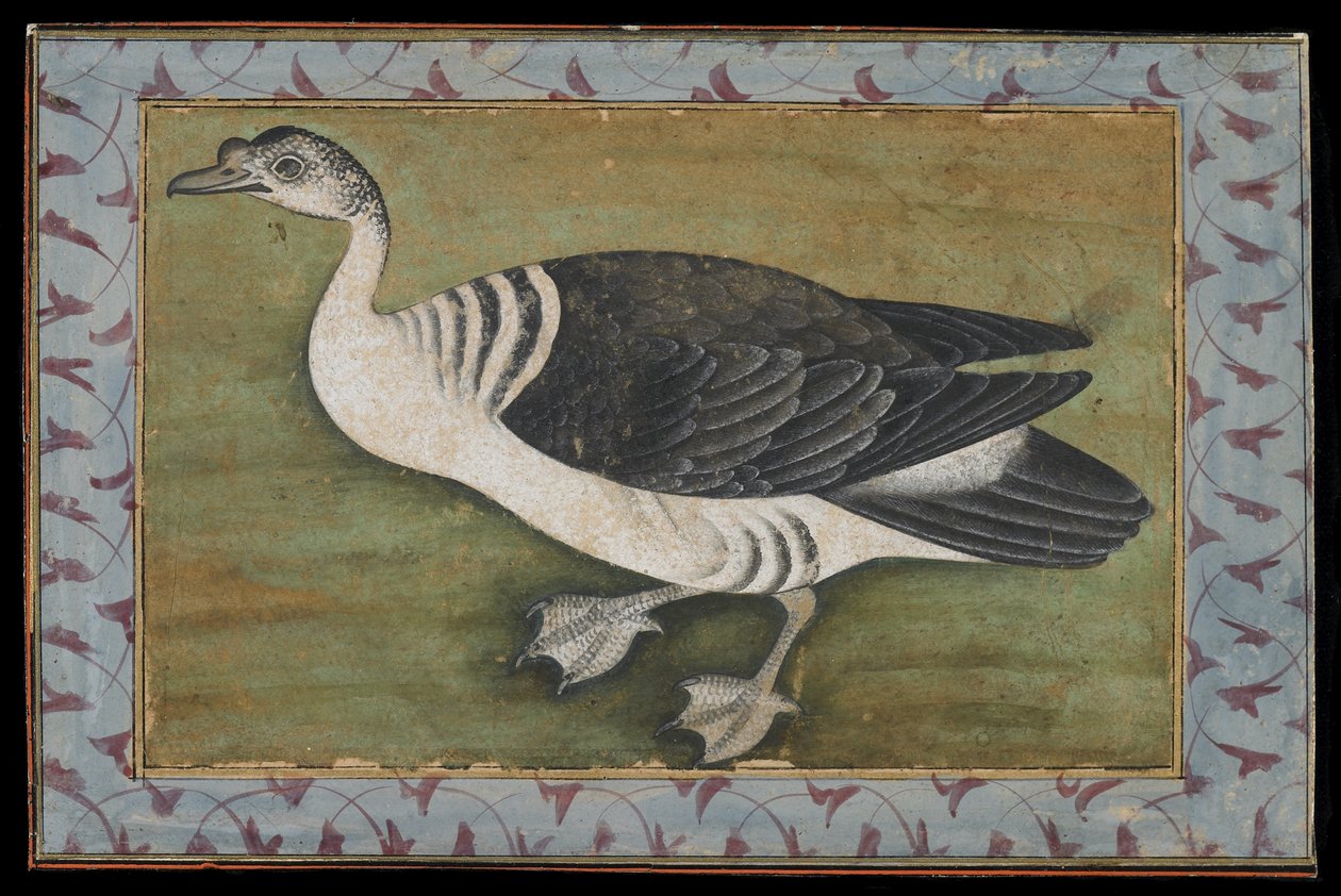 Um Pato Pente, Pintura, final do século XVIII de Mughal School