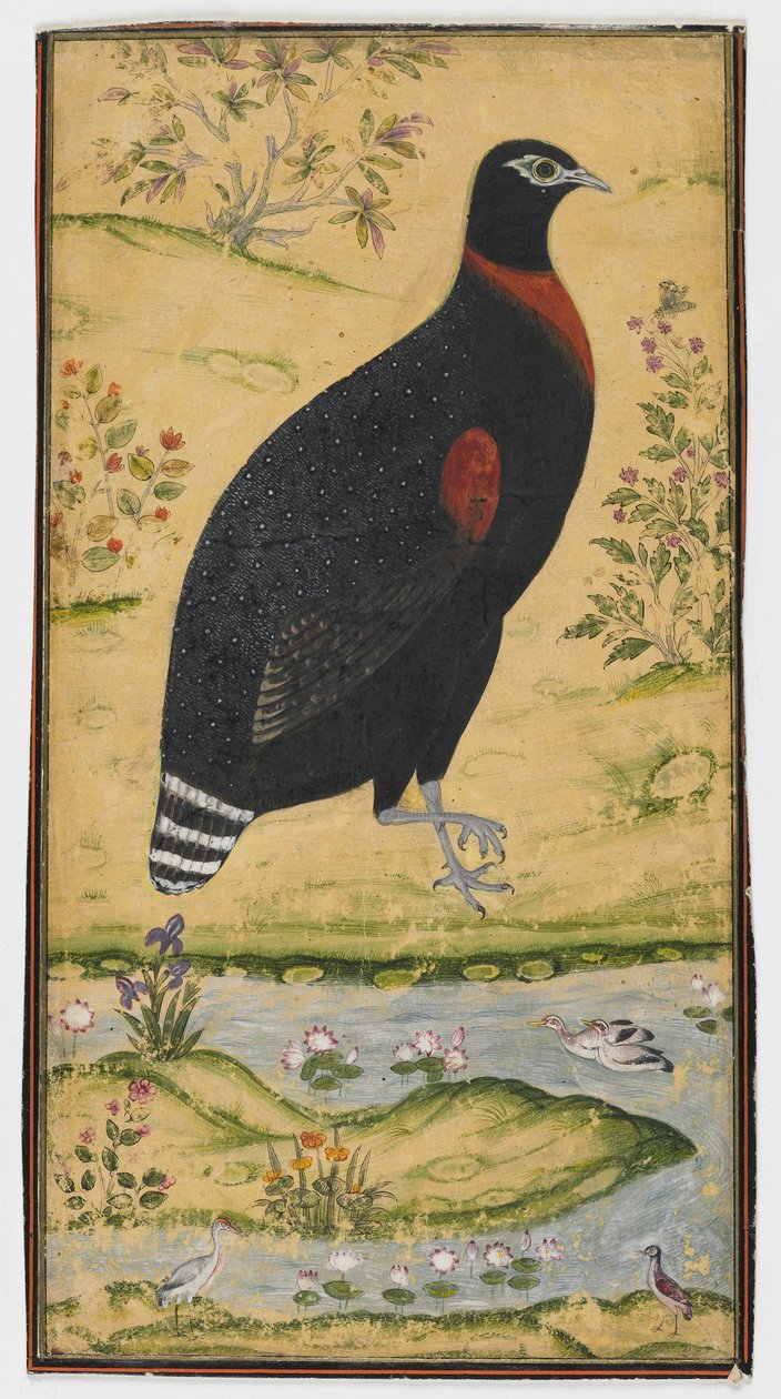 Um, spurfowl, em, um, paisagem, quadro, tarde, 17o século de Mughal School
