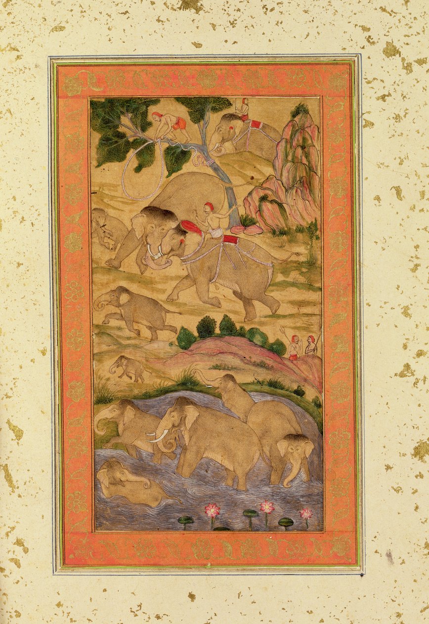 Hunters Capturing Elephants, do álbum Large Clive, c.1760-65 (desenho colorido no papel) de Mughal School