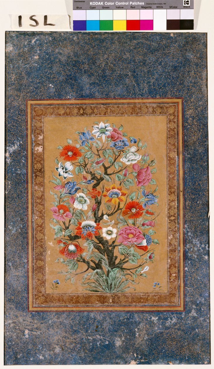 Planta Mítica de Mughal School