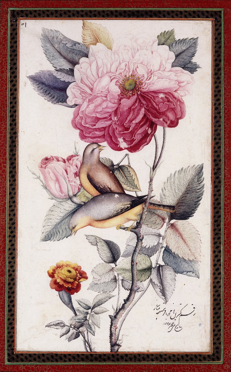 Gul-o Bulbul, c. 1849-50 (aguarela sobre papel) de Muhammad Baqir