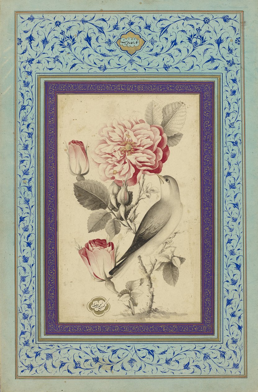 Rosas e Nightingale, finais do século XVIII (tinta e cor sobre papel) de Muhammad Baqir