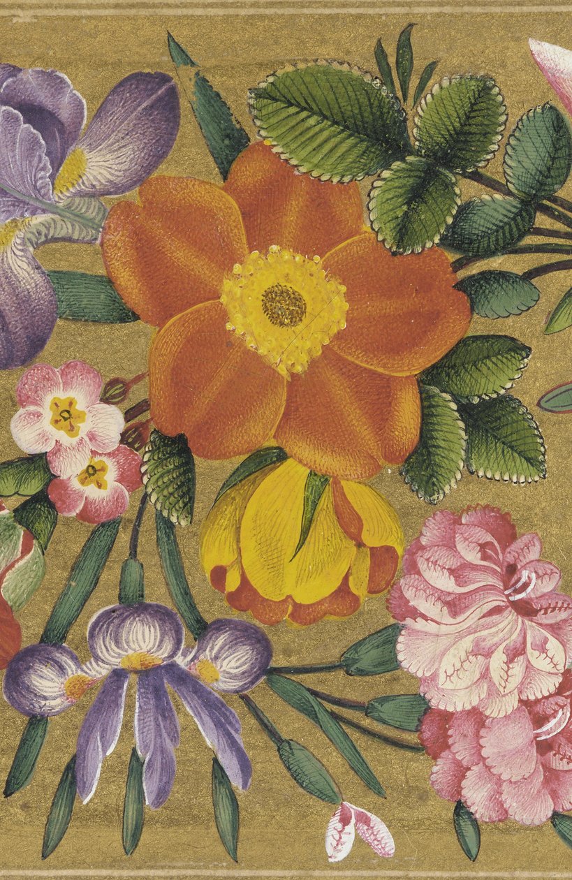 Página do Álbum de São Petersburgo, Índia, 1727 (cor no chão de ouro) de Muhammad Sadiq
