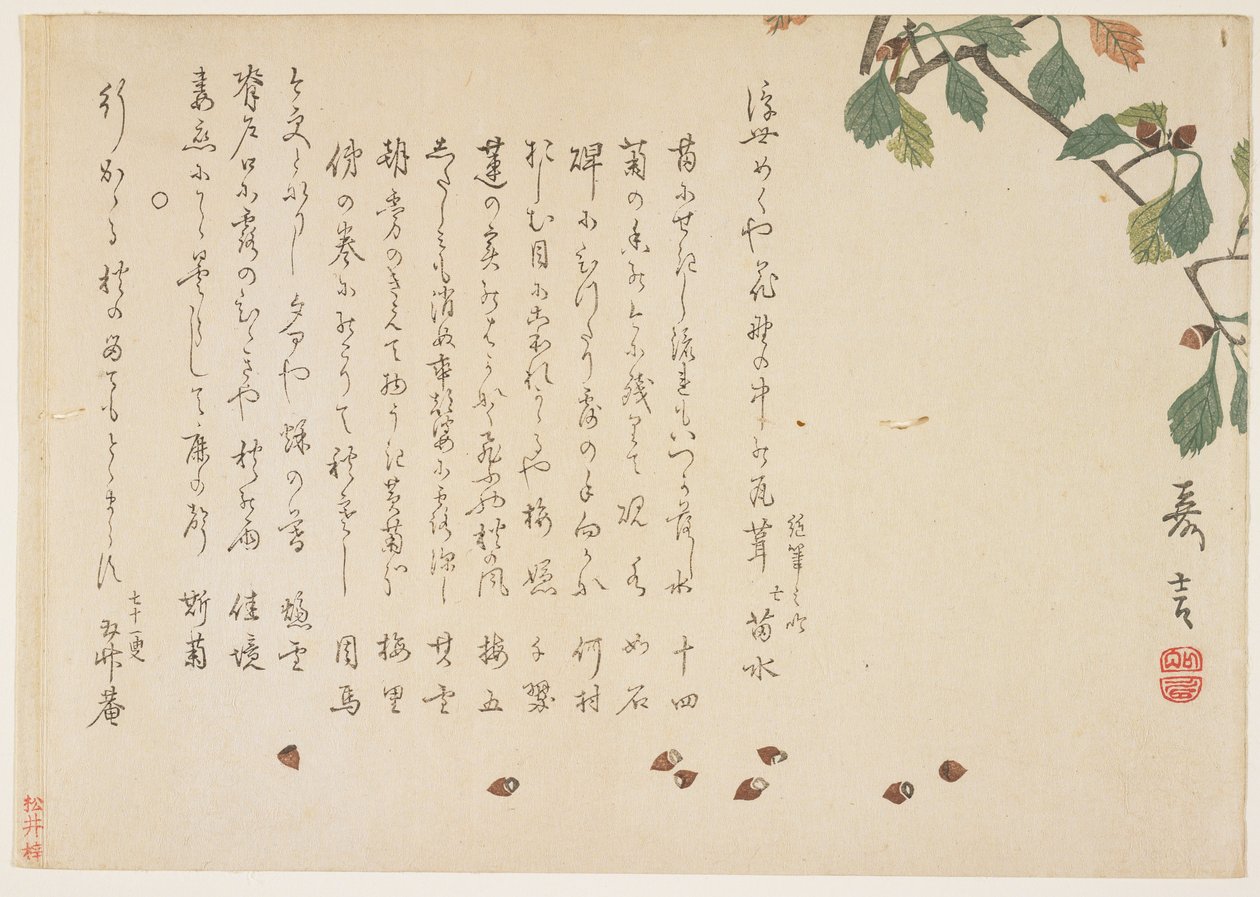 Ramo de carvalho e bolotas (impressão de woodblock de cor) de Murata Kagen