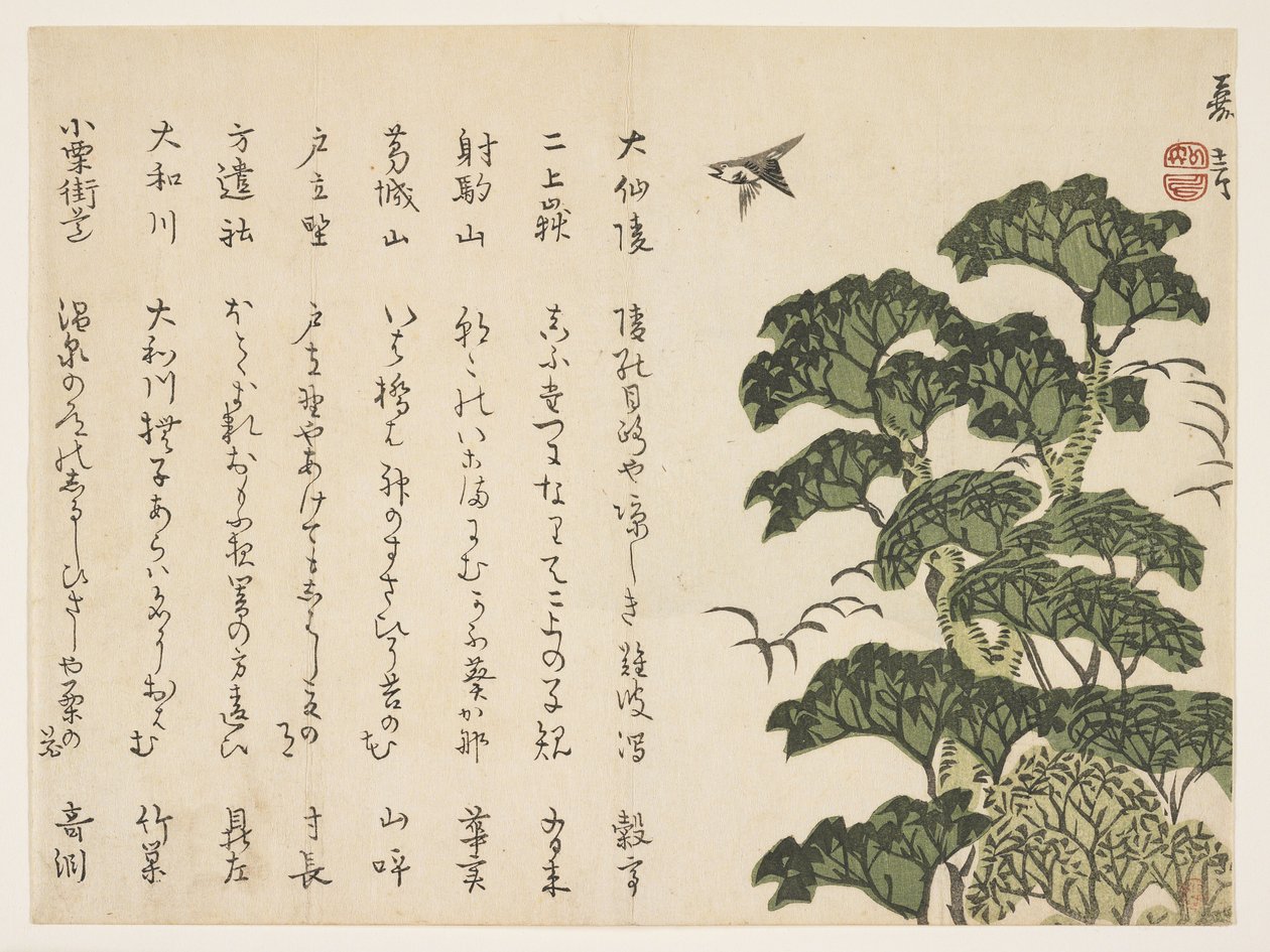 Grande árvore e pássaros, c.1830-44 (impressão woodblock de cor) de Murata Kagen