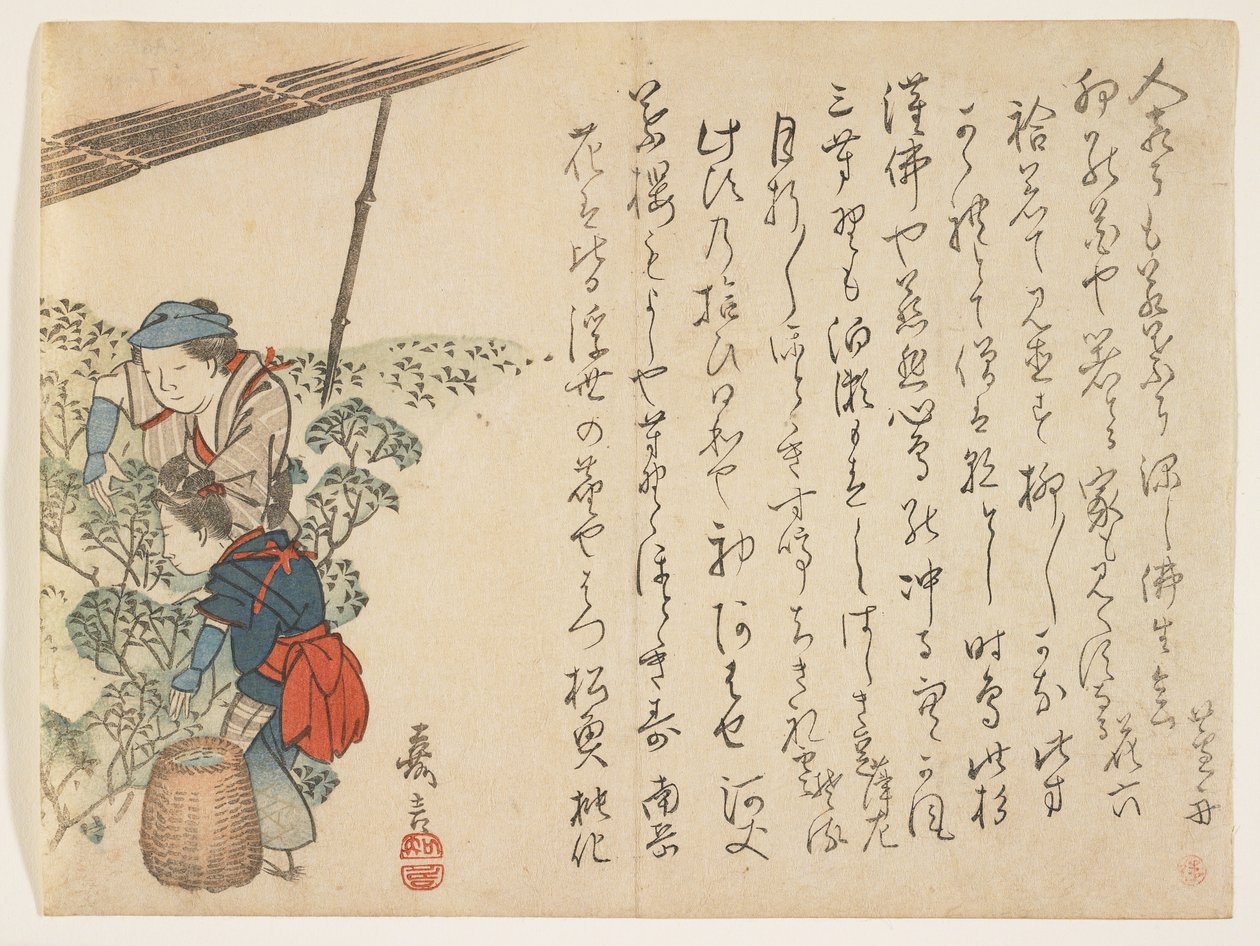 Máquinas de colheita de chá, c.1830-44 (impressão em xilogravura a cores) de Murata Kagen