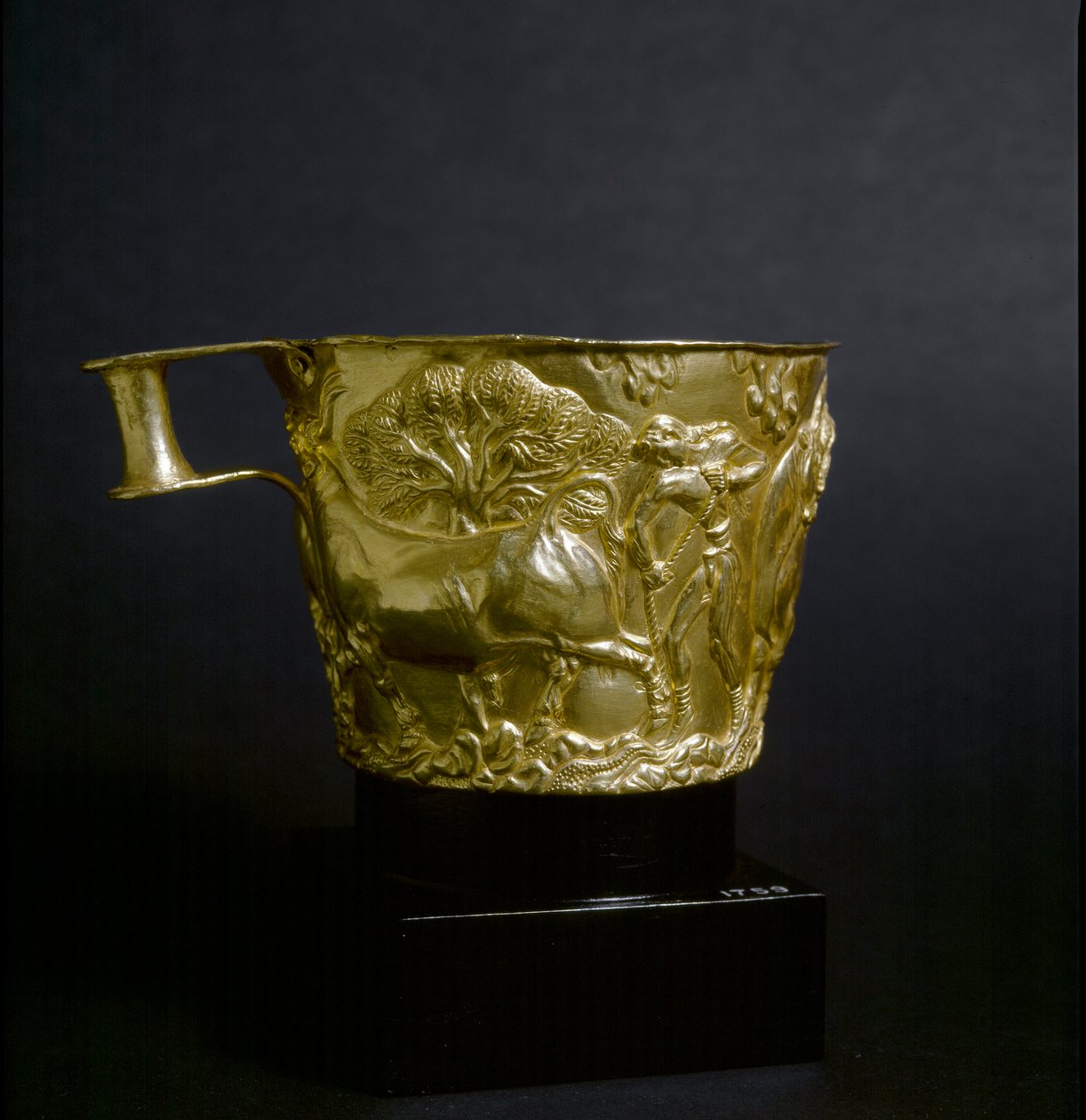 Arte micénica: copo de ouro decora uma cena de captura de um touro. 1500 AC. Do site Vaphio, perto de Esparta. Ateneu, Museu Nacional de Arqueologia de Mycenaean