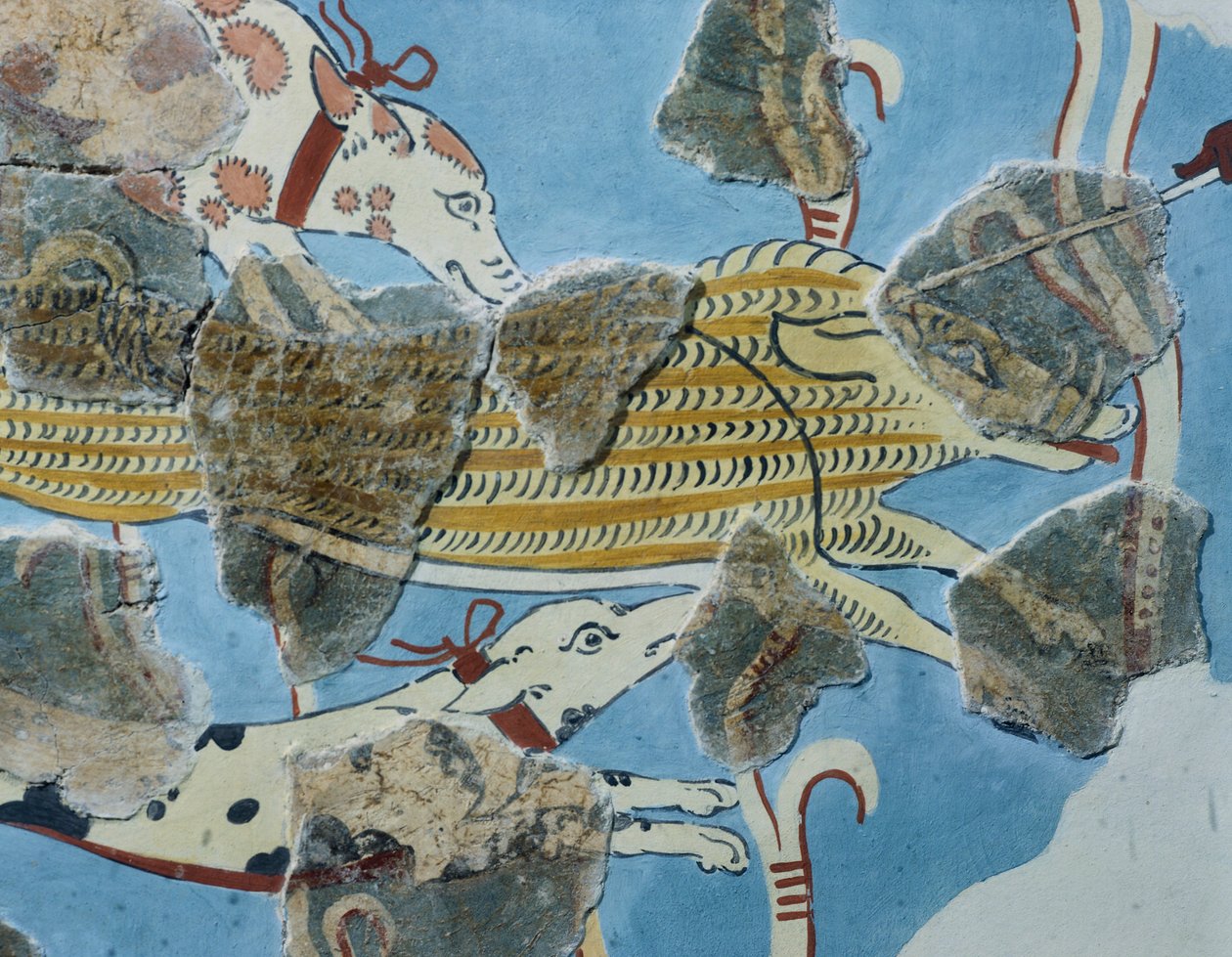 Fresco do Palácio Tirinto (Grécia). Detalhe: grupo de cães a atacar um javali selvagem. Civilização micénica de Mycenean