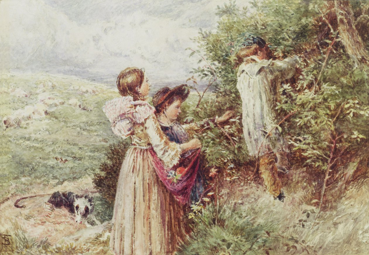 Crianças colhendo amoras, século XIX de Myles Birket Foster