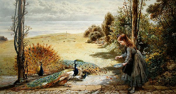Pavões (aguarela sobre papel) de Myles Birket Foster