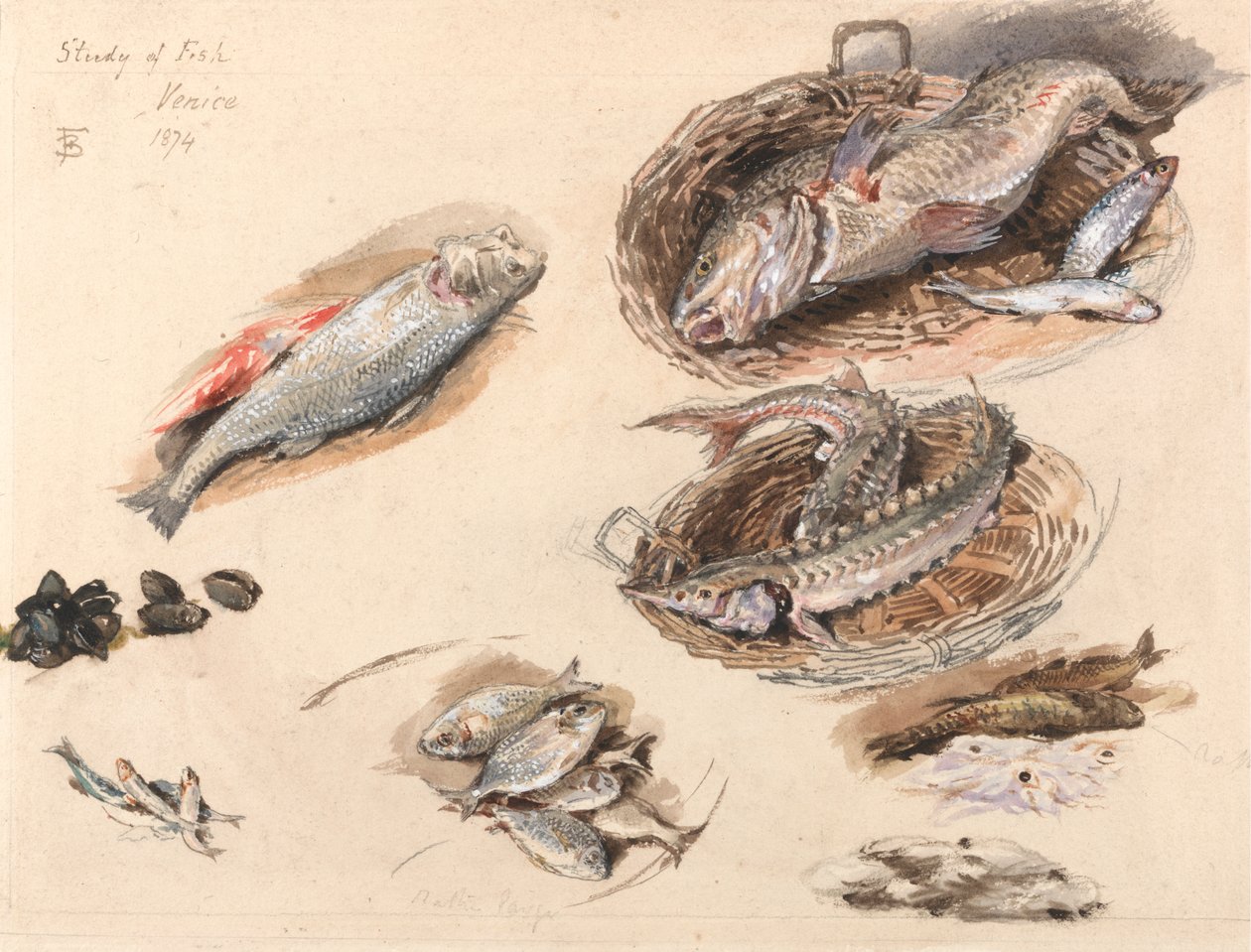 Estudo do Peixe, Veneza de Myles Birket Foster