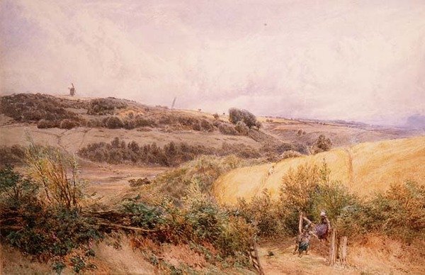 Paisagem de Verão perto de Haslemere, Surrey de Myles Birket Foster