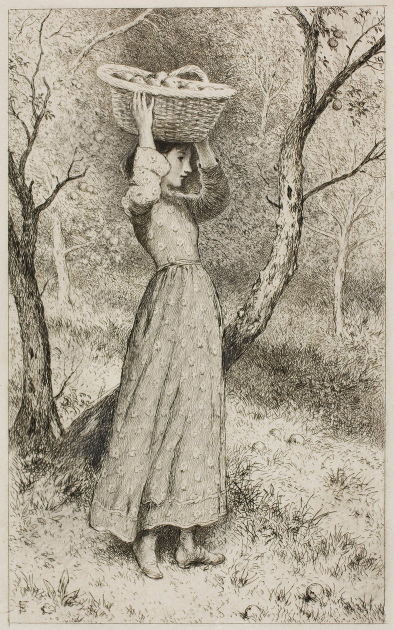 Jovem em um pomar com uma cesta de frutas de Myles Birket Foster