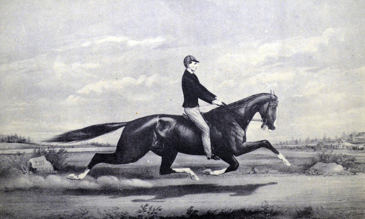 Currier & Ives Ilustração do século XIX. Cavalo celebrado Dexter O rei do relvado de N. and Ives, J.M. Currier