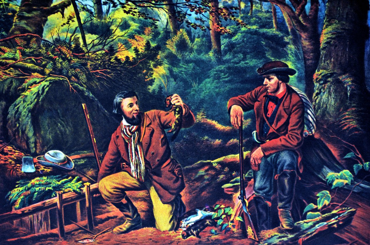Currier & Ives Ilustração do século XIX. Mink Trapping Prime de N. and Ives, J.M. Currier