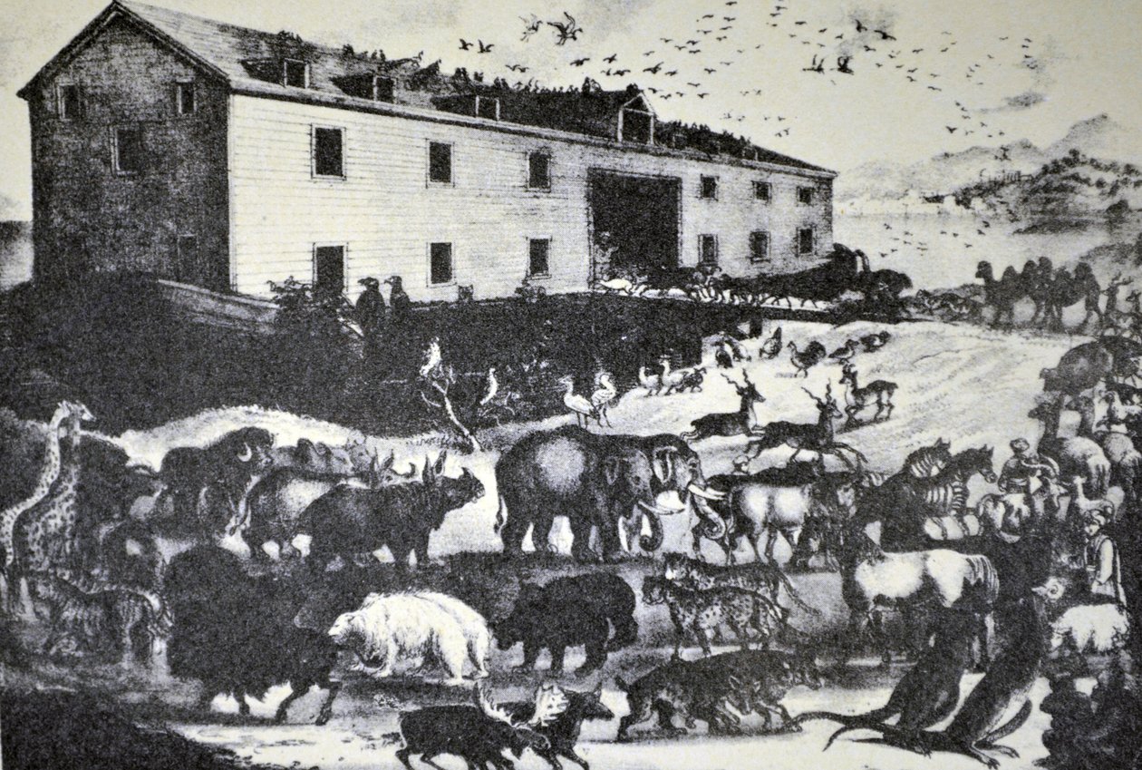 Currier & Ives Ilustração do século XIX. Arca de noé de N. and Ives, J.M. Currier