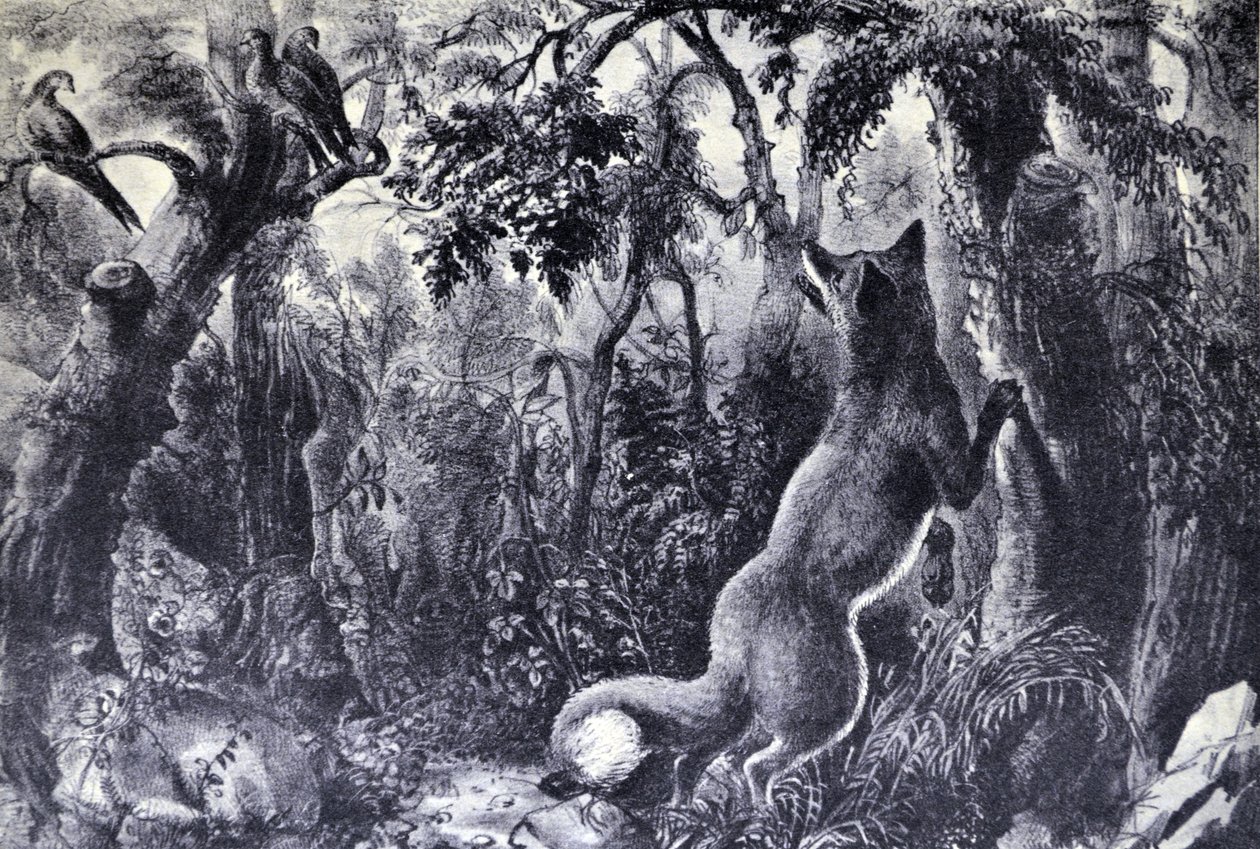 Currier & Ives Ilustração do século XIX. A raposa confusa de N. and Ives, J.M. Currier