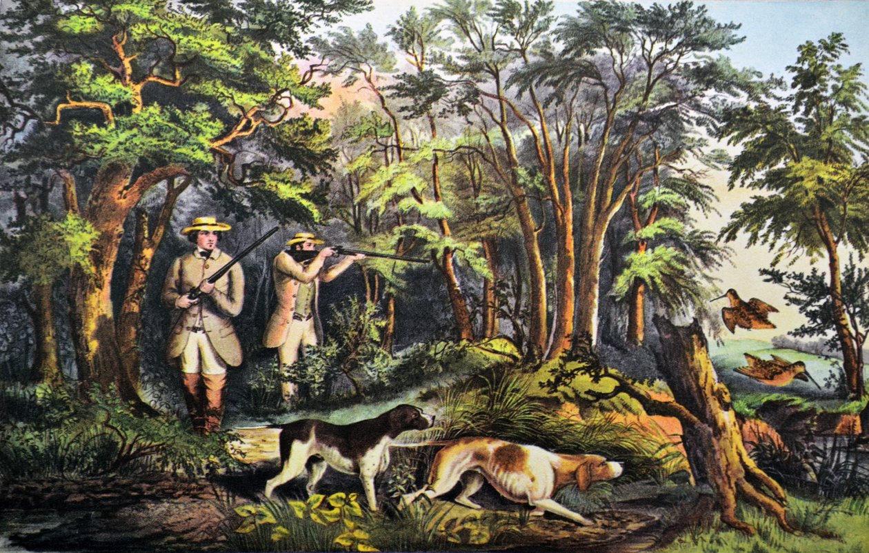 Tiro de galinhola de N. and Ives, J.M. Currier