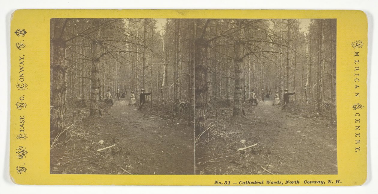 Cathedral Woods, North Conway, N.H., meados do século XIX. de N.W. Pease