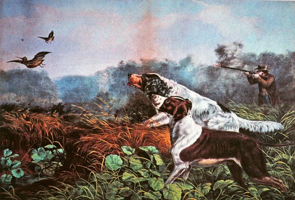 Desportos de Campo Americanos: Uma Oportunidade para Ambos os Barris de Currier and Ives