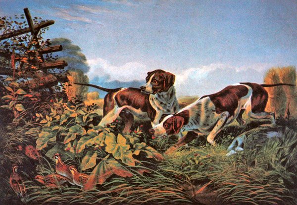 Desportos de Campo Americanos: Em um ponto de Currier and Ives