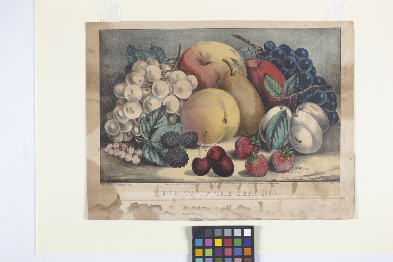 Fruits Of The Season (litografia colorida à mão) de N. and Ives J.M. (1824 95) Currier