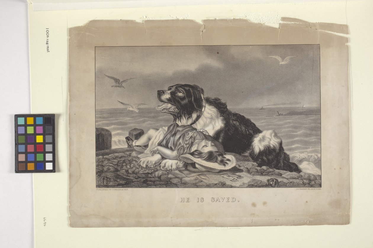 Ele é salvo (litografia colorida à mão) de N. and Ives J.M. (1824 95) Currier