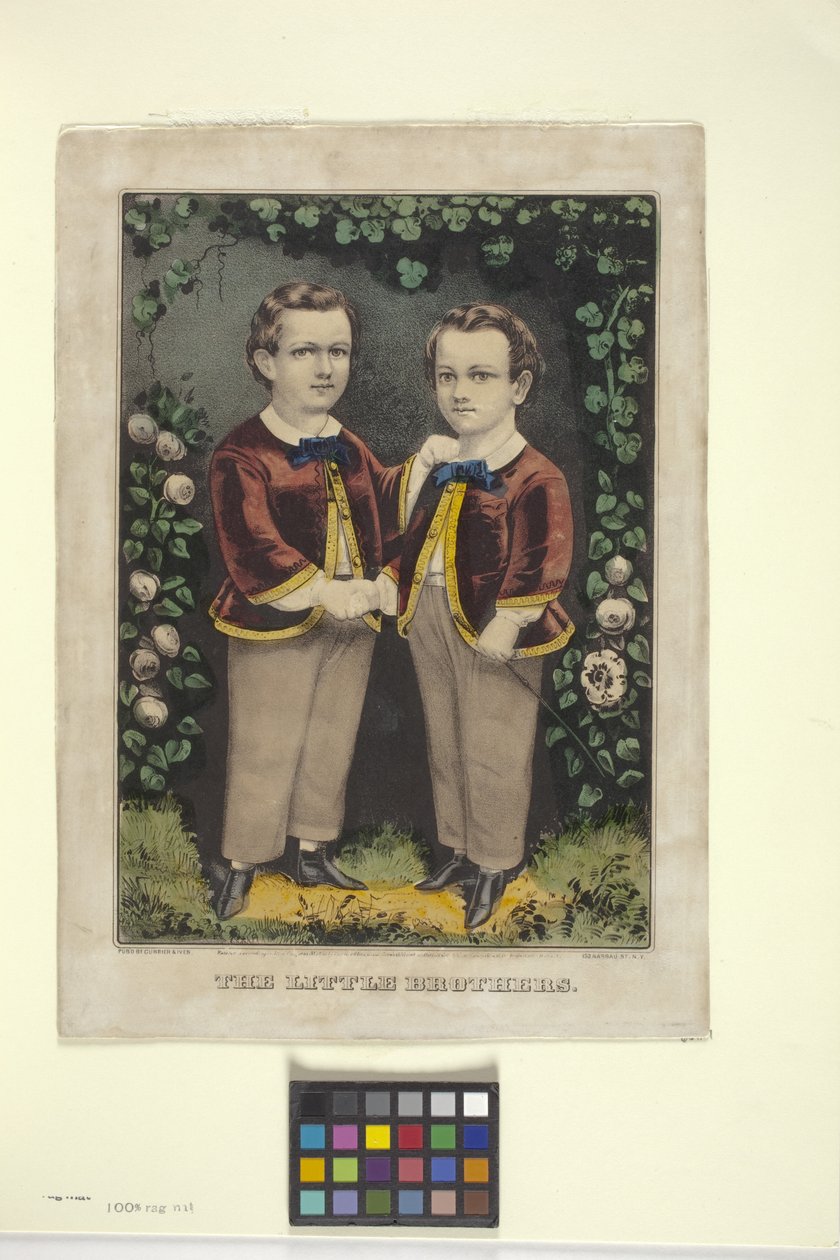 Irmãozinhos (litografia colorida à mão) de N. and Ives J.M. (1824-95) Currier