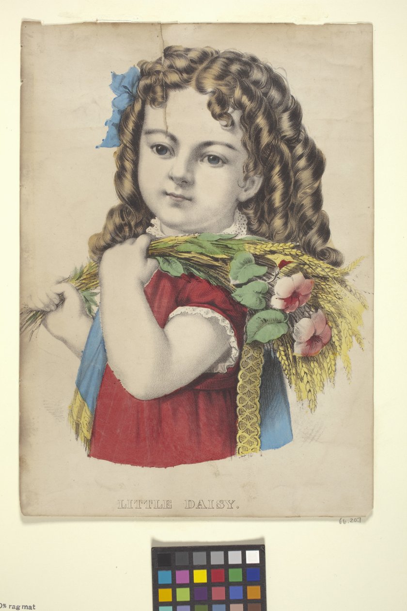Pequena Margarida (litografia colorida à mão) de N. and Ives J.M. (1824 95) Currier