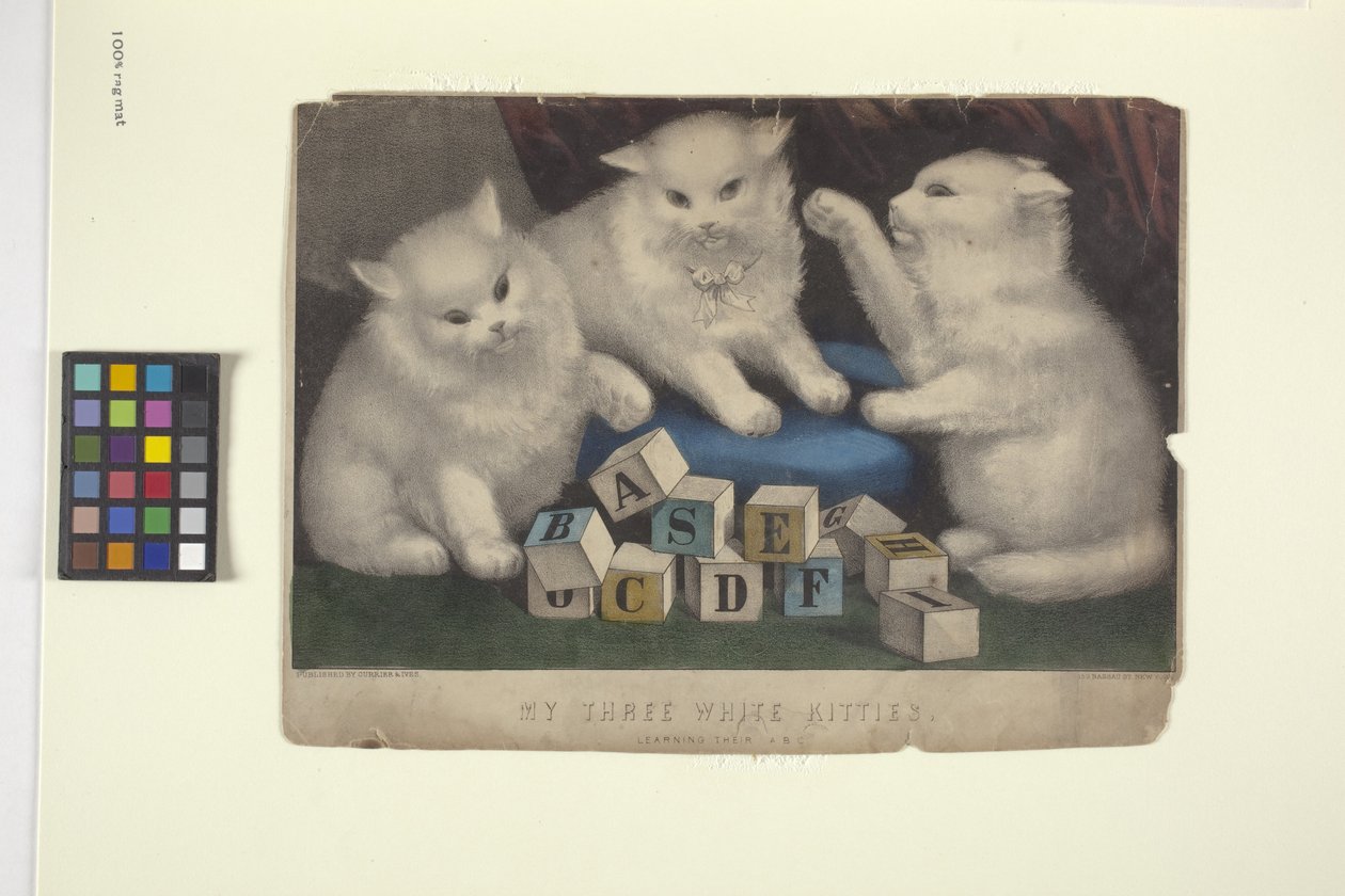 Os meus três gatinhos brancos (litografia colorida à mão) de N. and Ives J.M. (1824 95) Currier