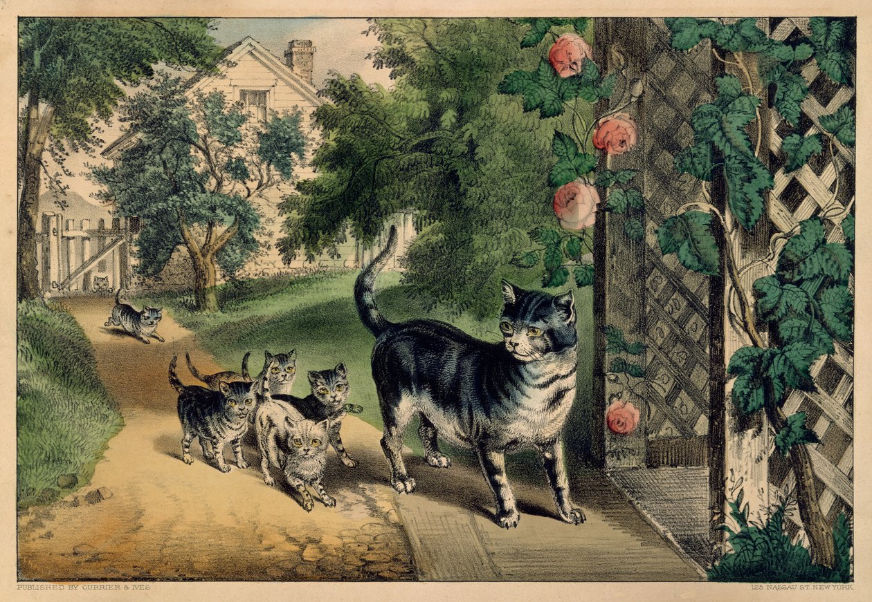 O retorno da buceta de Currier and Ives