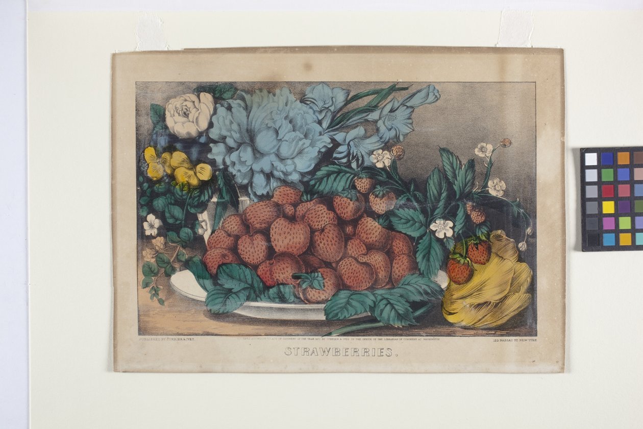 Morangos (litografia colorida à mão) de N. and Ives J.M. (1824 95) Currier