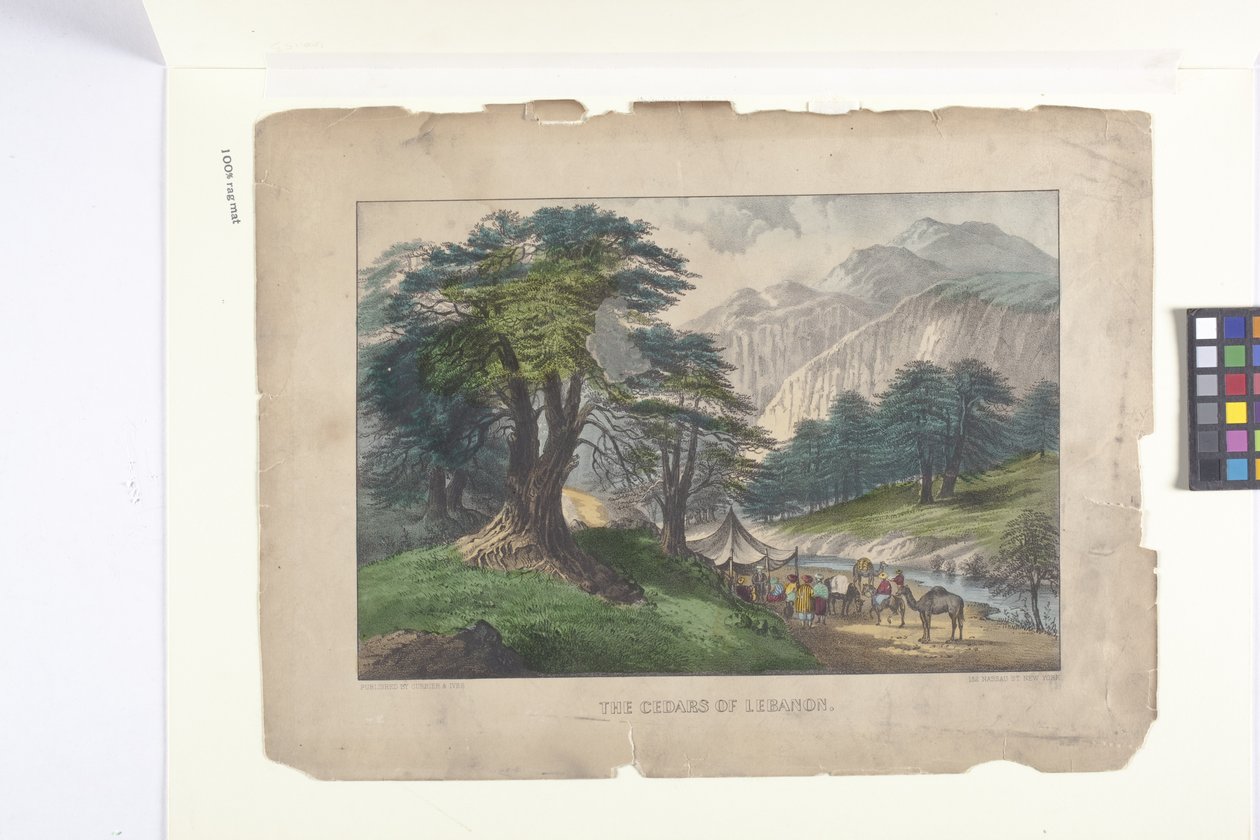Os Cedros do Líbano (litografia colorida à mão) de N. and Ives J.M. (1824 95) Currier