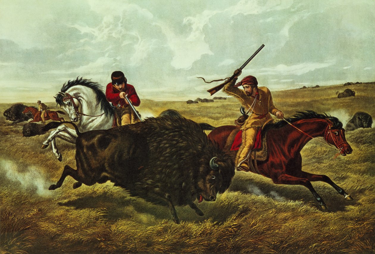 Life on the Prairie - a caça ao búfalo, 1862 (cor lito) de N. and Ives, J.M. Currier