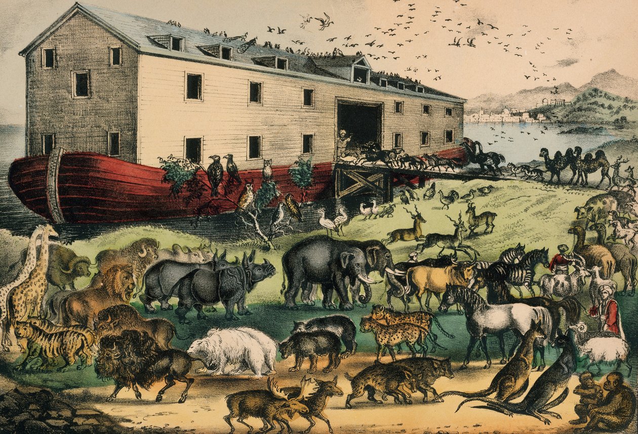 Arca de Noé, 1874-78 (litografia colorida à mão) de N. and Ives, J.M. Currier
