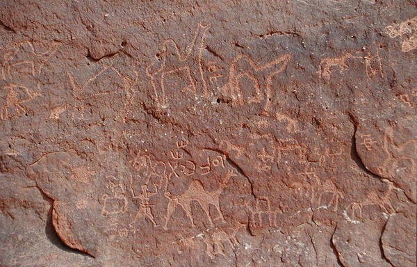 Petroglifos do lado de um penhasco (pintura rupestre) de Nabatean