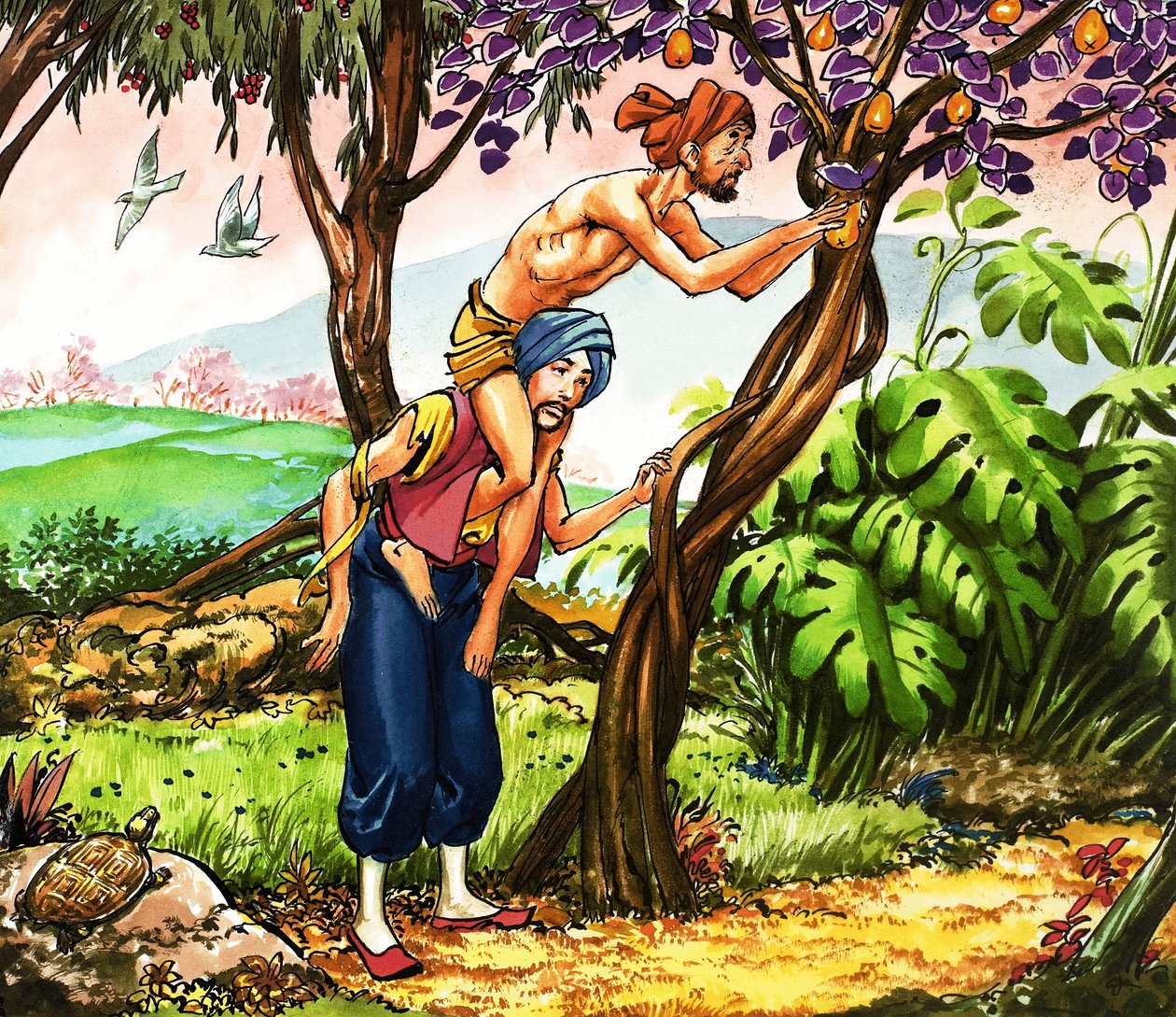 Sinbad, o Marinheiro de Nadir Quinto