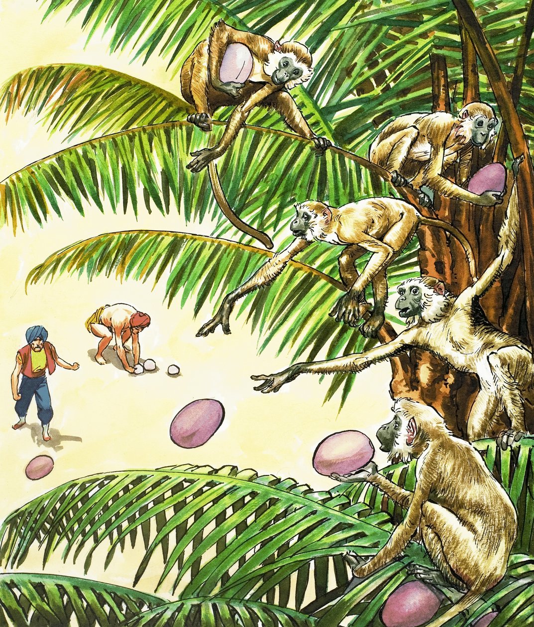 Sinbad, o Marinheiro de Nadir Quinto