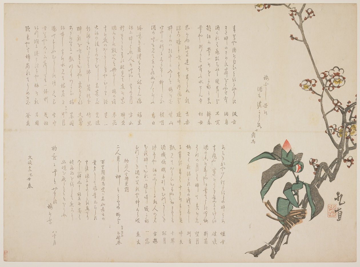 Ramos de Ameixa e Camélia, 1829 (impressão em xilogravura a cores) de Nagayama Kchoku