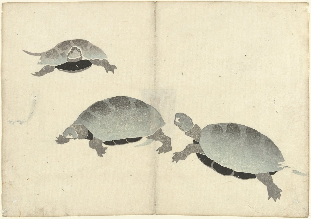 Três tartarugas
Álbum de fotografias de Korin (título da série)
Korin gafu (título da série) de Nakamura Hochu