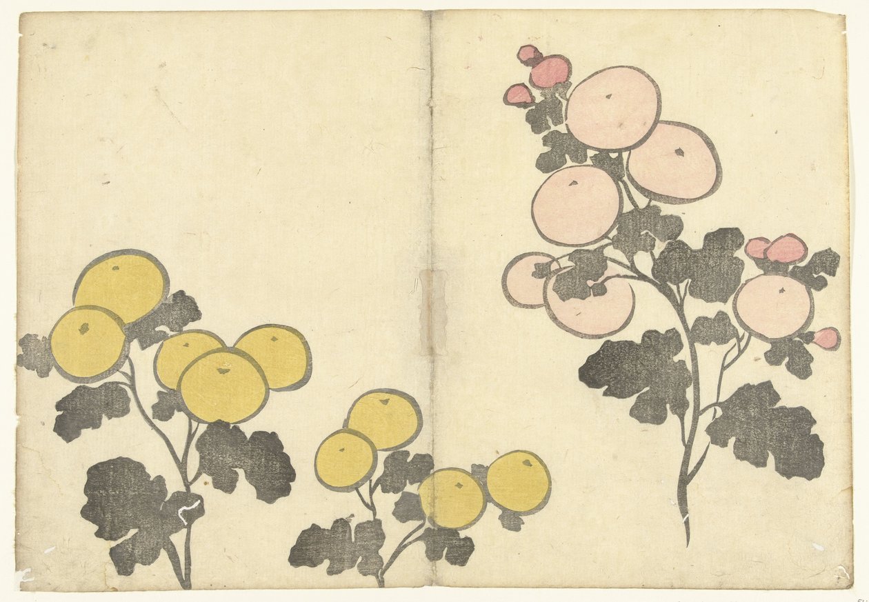 Flores amarelas e rosa estilizadas
Imprimir álbum de Korin (título da série)
Korin gafu (título da série) de Nakamura Hochu