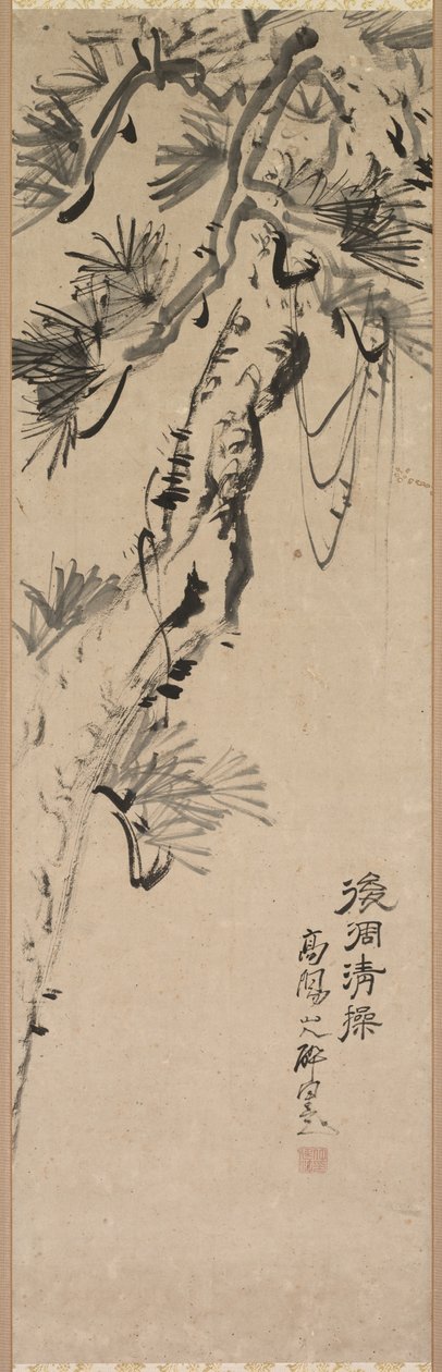 Pinheiro envelhecido de Nakayama Koyo
