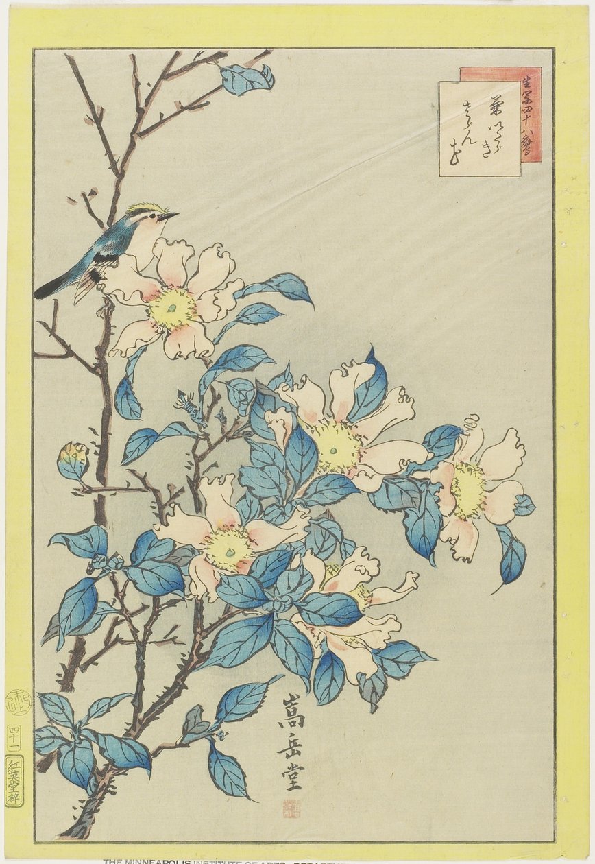 Pássaro azul e flores cor-de-rosa, 1859 (impressão do woodblock da cor) de Nakayama Sugakudo