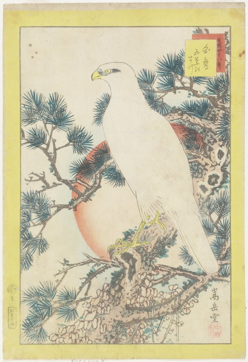 No. 1, White Falcon e Five-needled Pine, 1859 (impressão em xilogravura a cores) de Nakayama Sugakudo
