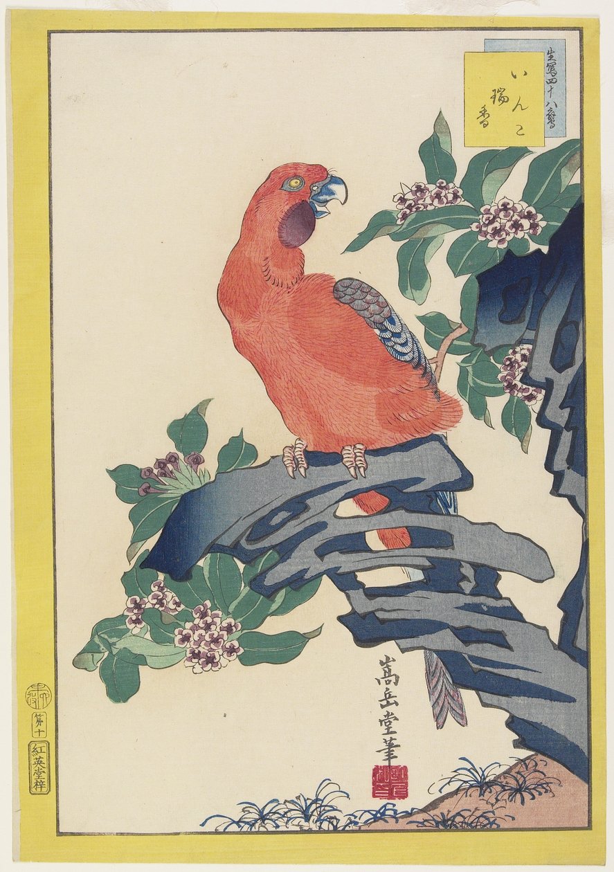 Papagaio-de-rosa na rocha, 1859 (impressão de woodblock de cor) de Nakayama Sugakudo
